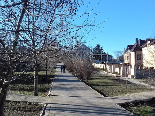 Аллея по ул. Фрунзе