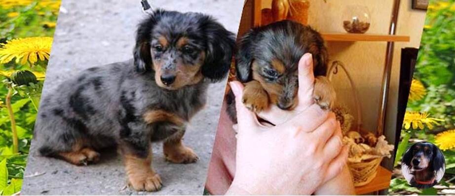 Будем благодарны, если поставите лайк и подпишетесь на канал !  Вы поможете развитию нашего канала.