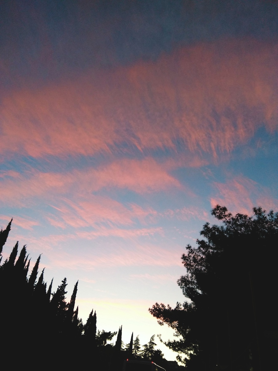 Ванильное небо 