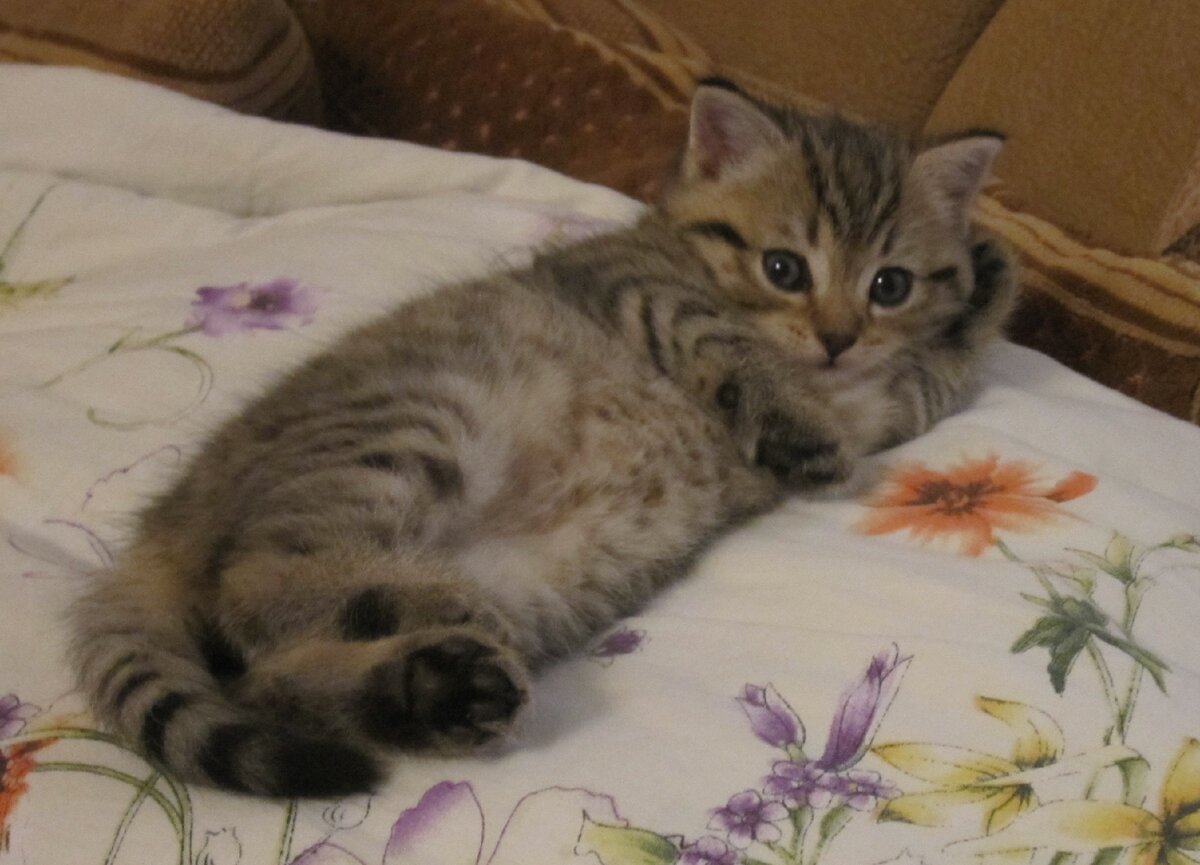 Фото из личного архива автора