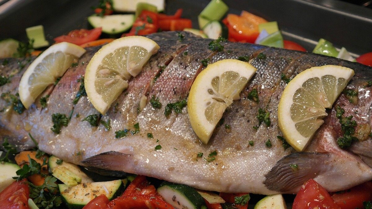 Красная рыба: правила приготовления семги, горбуши, форели и других видов деликатеса