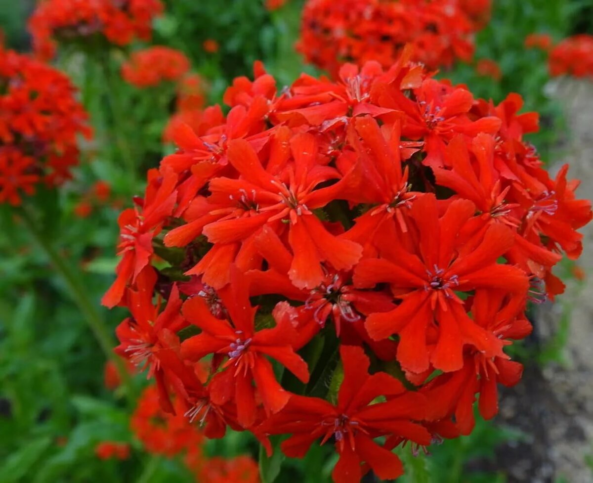 Источник фото: trover.com