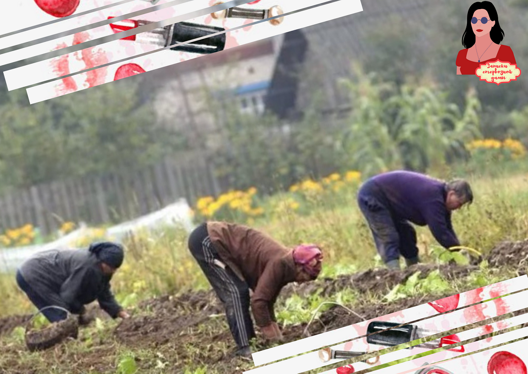 Огородники - это особая раса людей