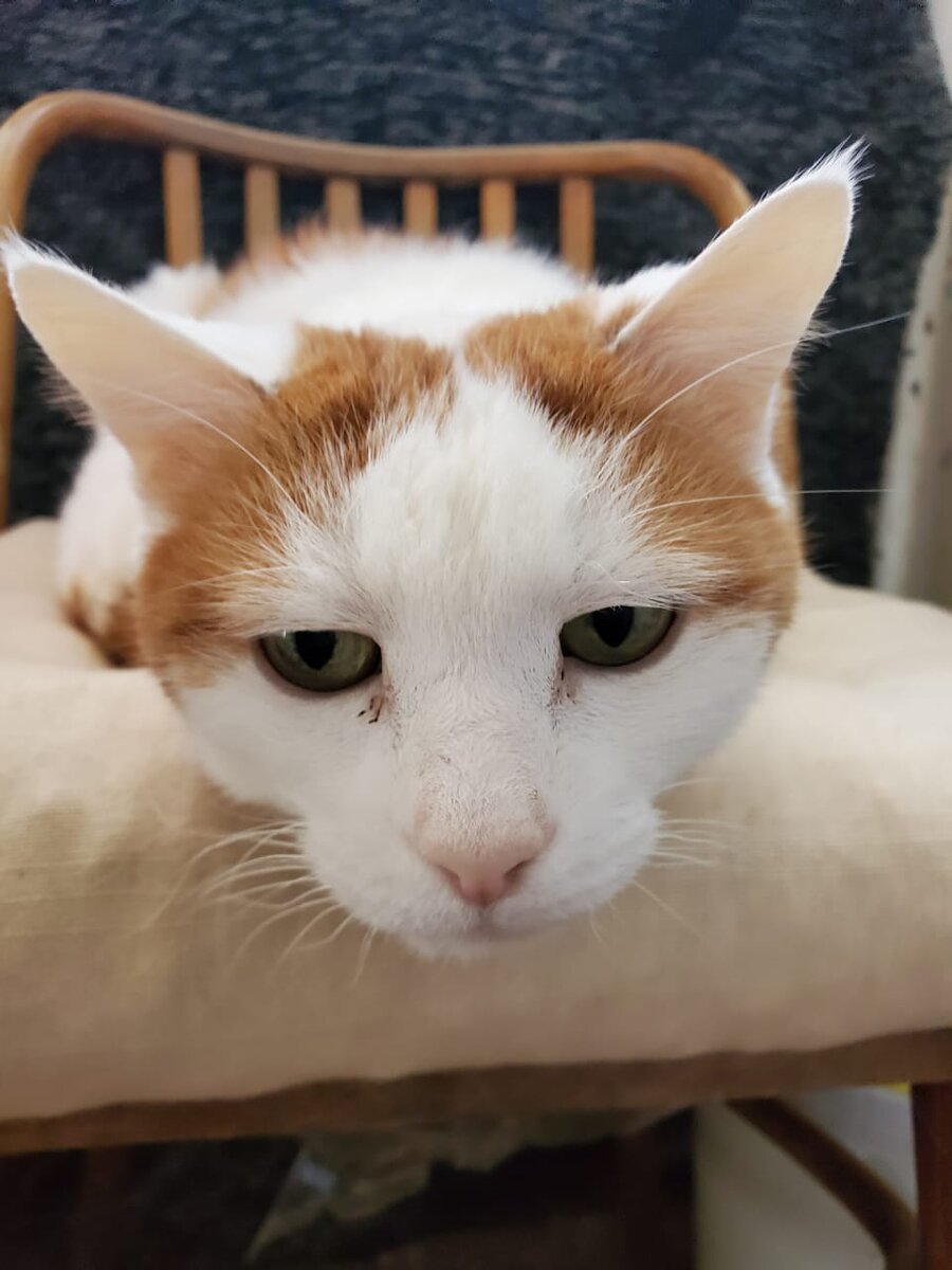 Это я почему злой был? Потому, что дзен не постиг...