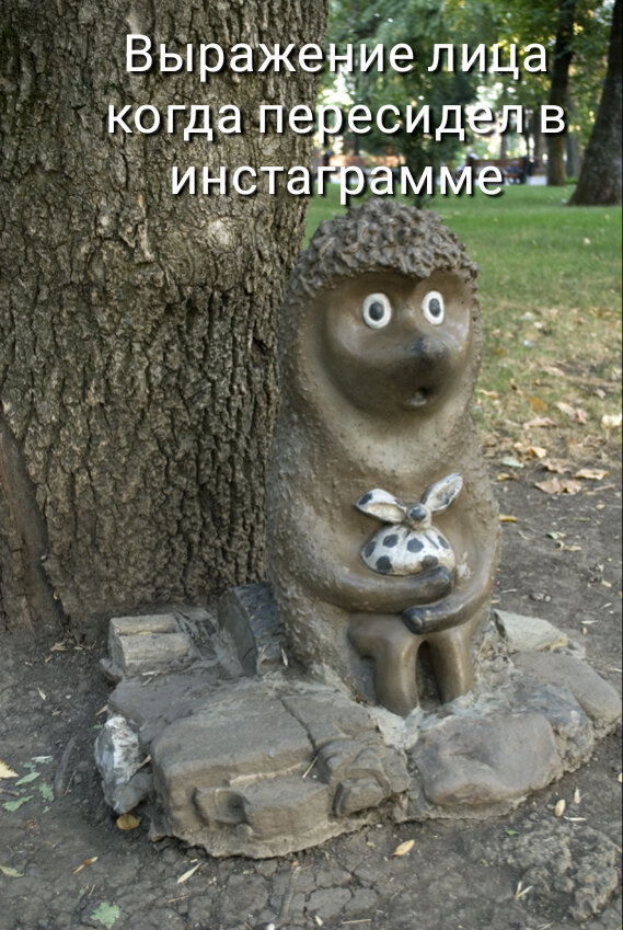 Фотку нашёл в Яндексе. Выражение лица ежа передаёт суть инстаграммщика.