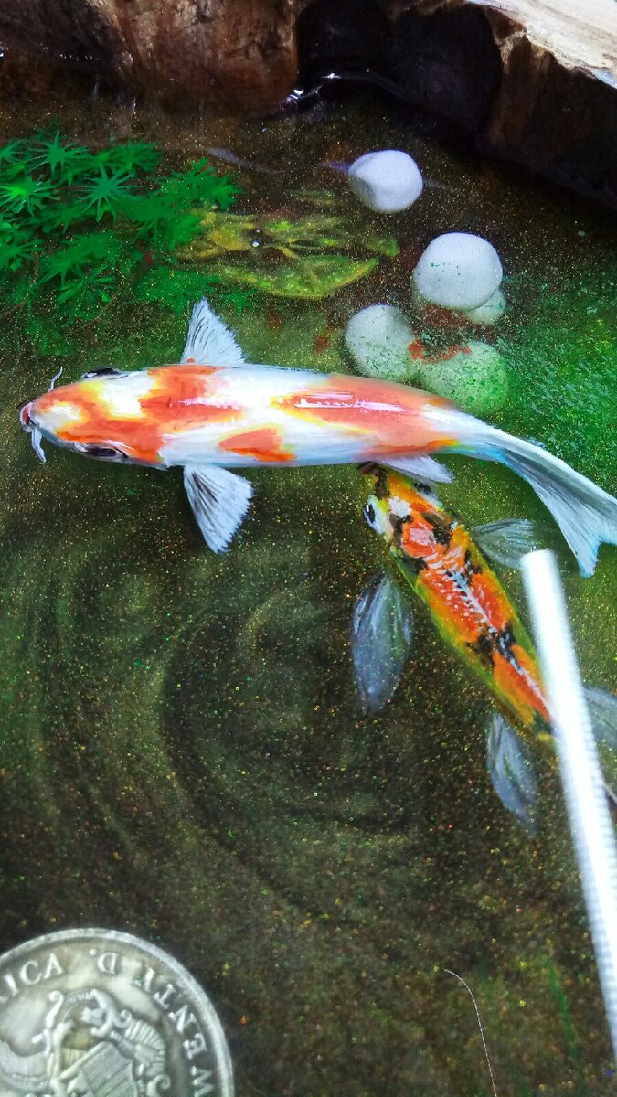 Фото Дмитрия 