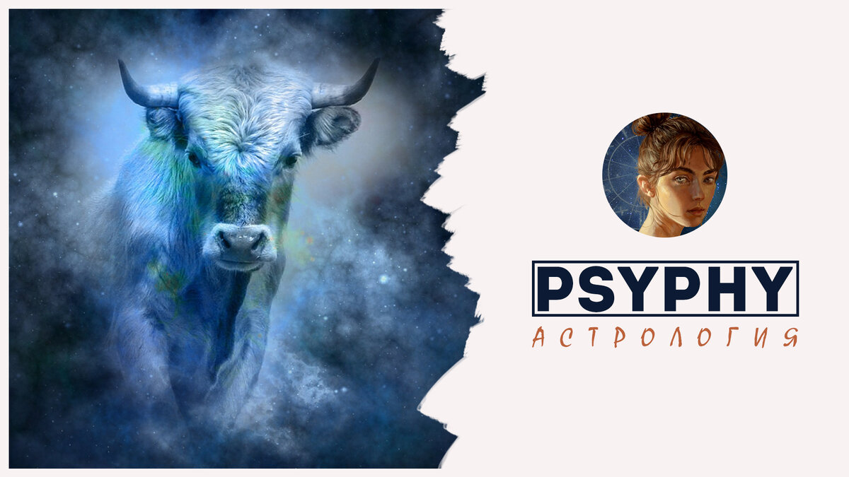 тельцы отзывы