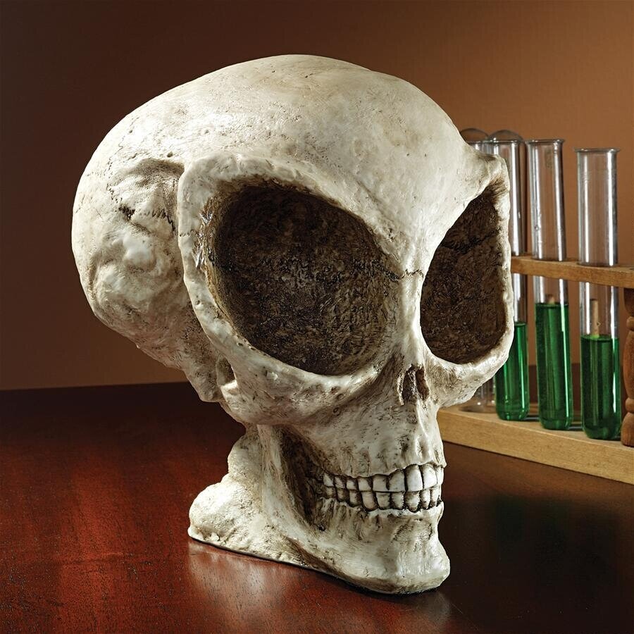 Необычные черепа людей