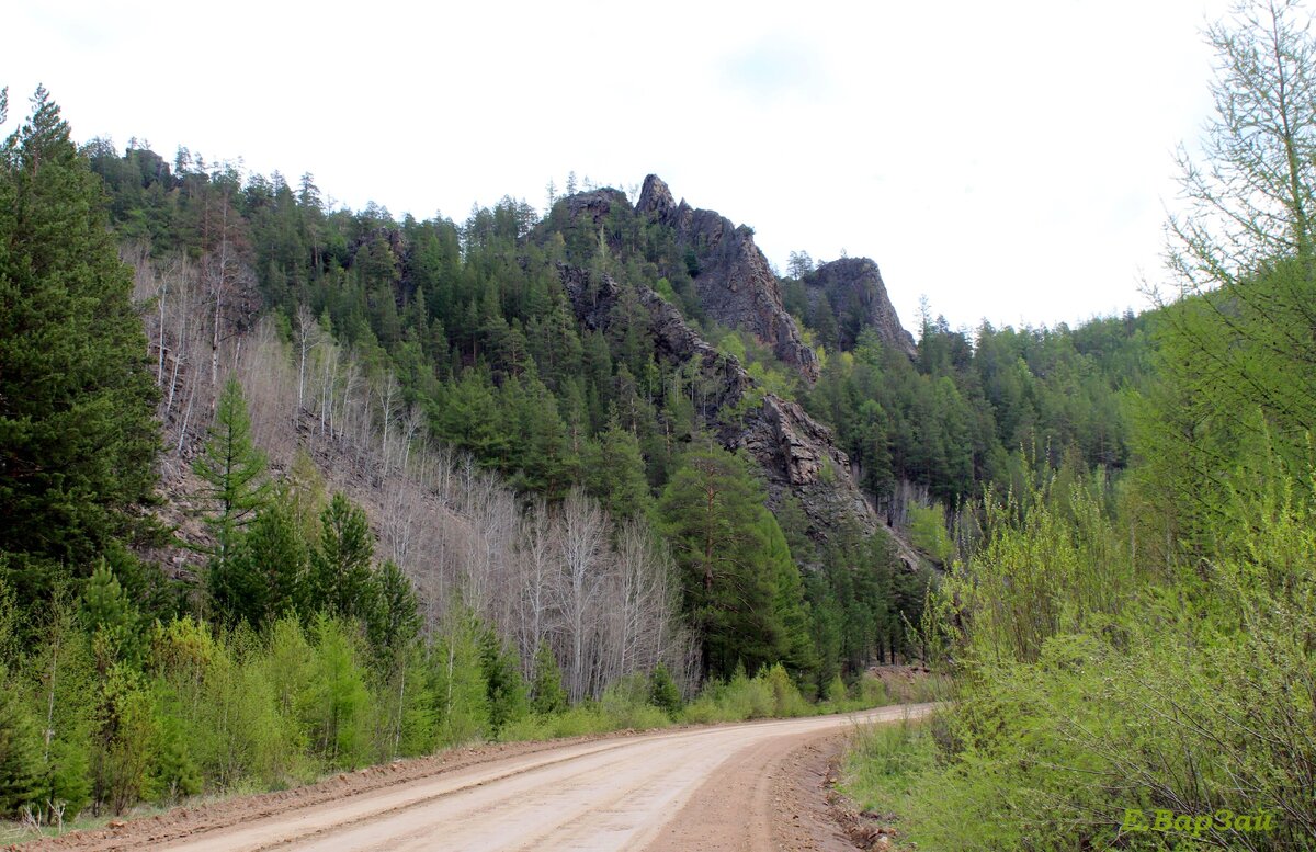 Дорога за Старой Брянью свернула влево и увела нас к этим замечательным скальникам!