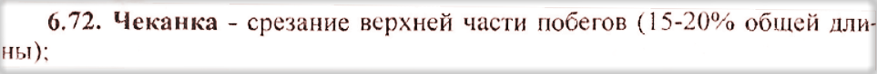 Максимально точное цитирование источника)))