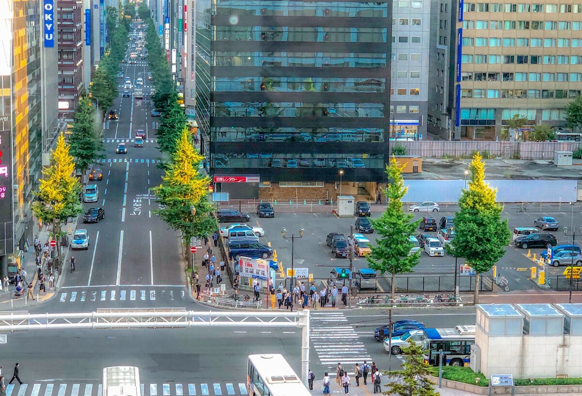 Саппоро (лето 2020 г.). А зимой это же место ---->