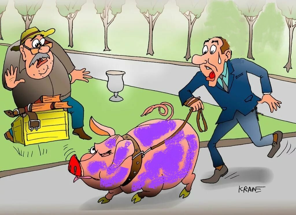 Фото взято с yandex.ru