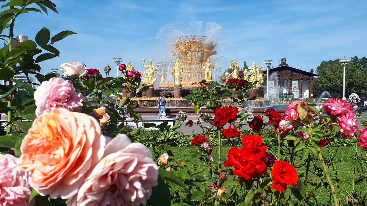 ВДНХ Фотография от Persianka