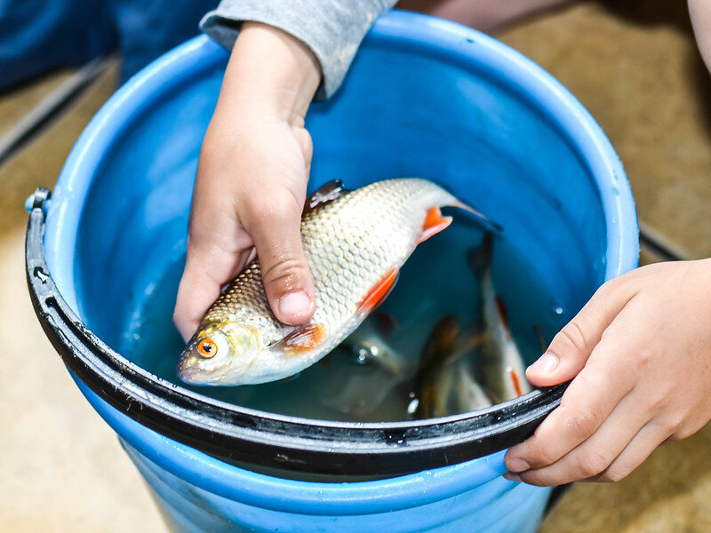 Источник фото: flickr.com