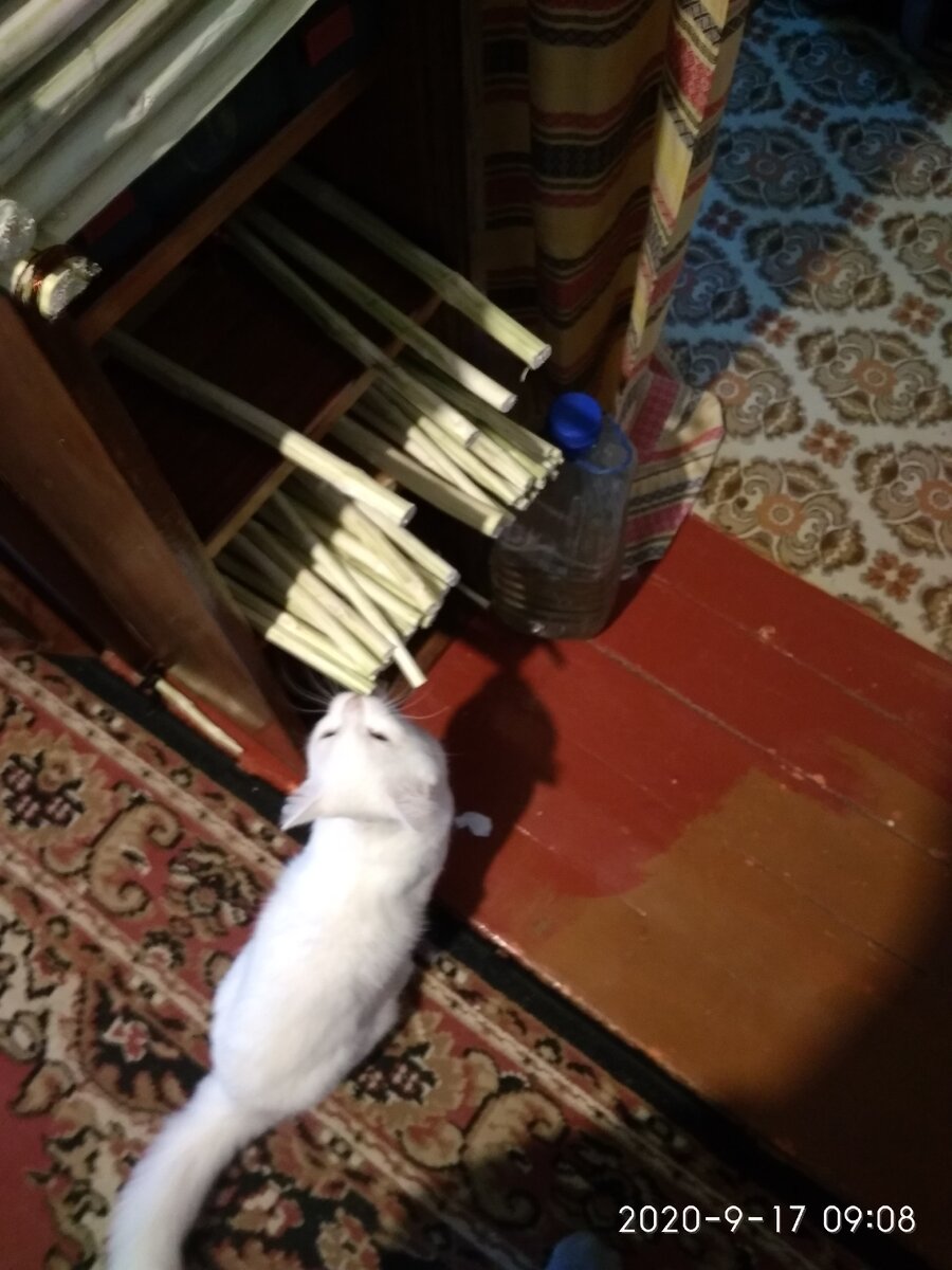 Готовим материал