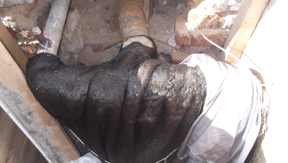 В одном уездном городе ...