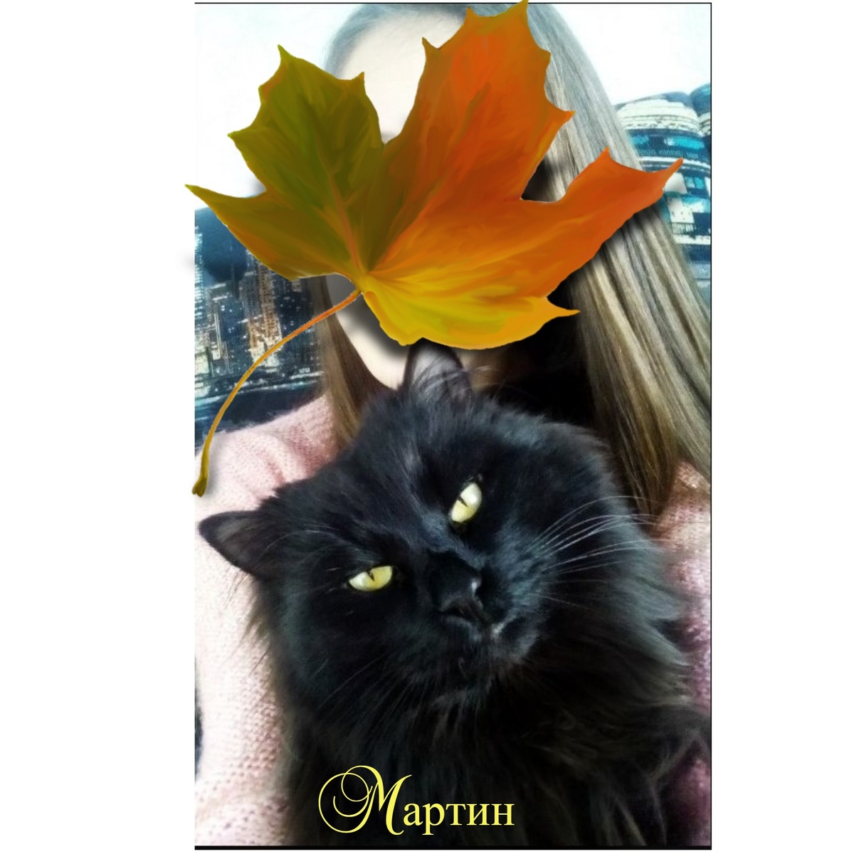 Фото подлинное. Пришлось сделать коллаж, меня попросили не показывать лицо...Согласитесь, от взгляд Мартина неподражаем, пости как у Булгакова...