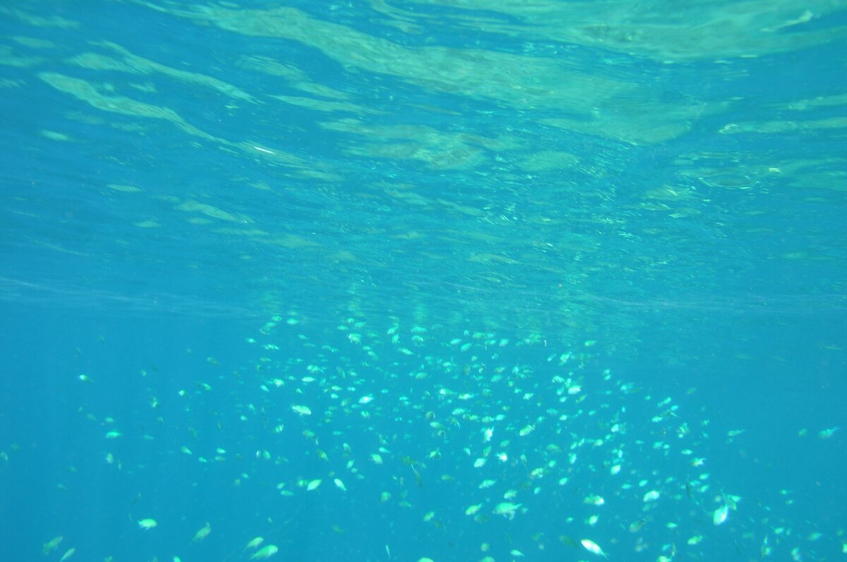 наше фото с архива 