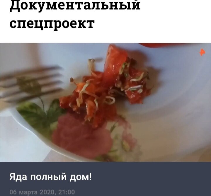 Скриншот при просмотре передачи. 