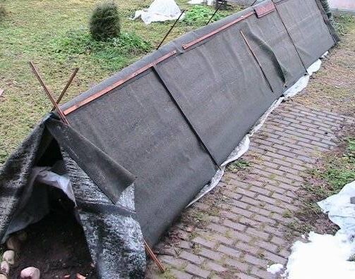 своеобразный шалашик для зимовки роз. 