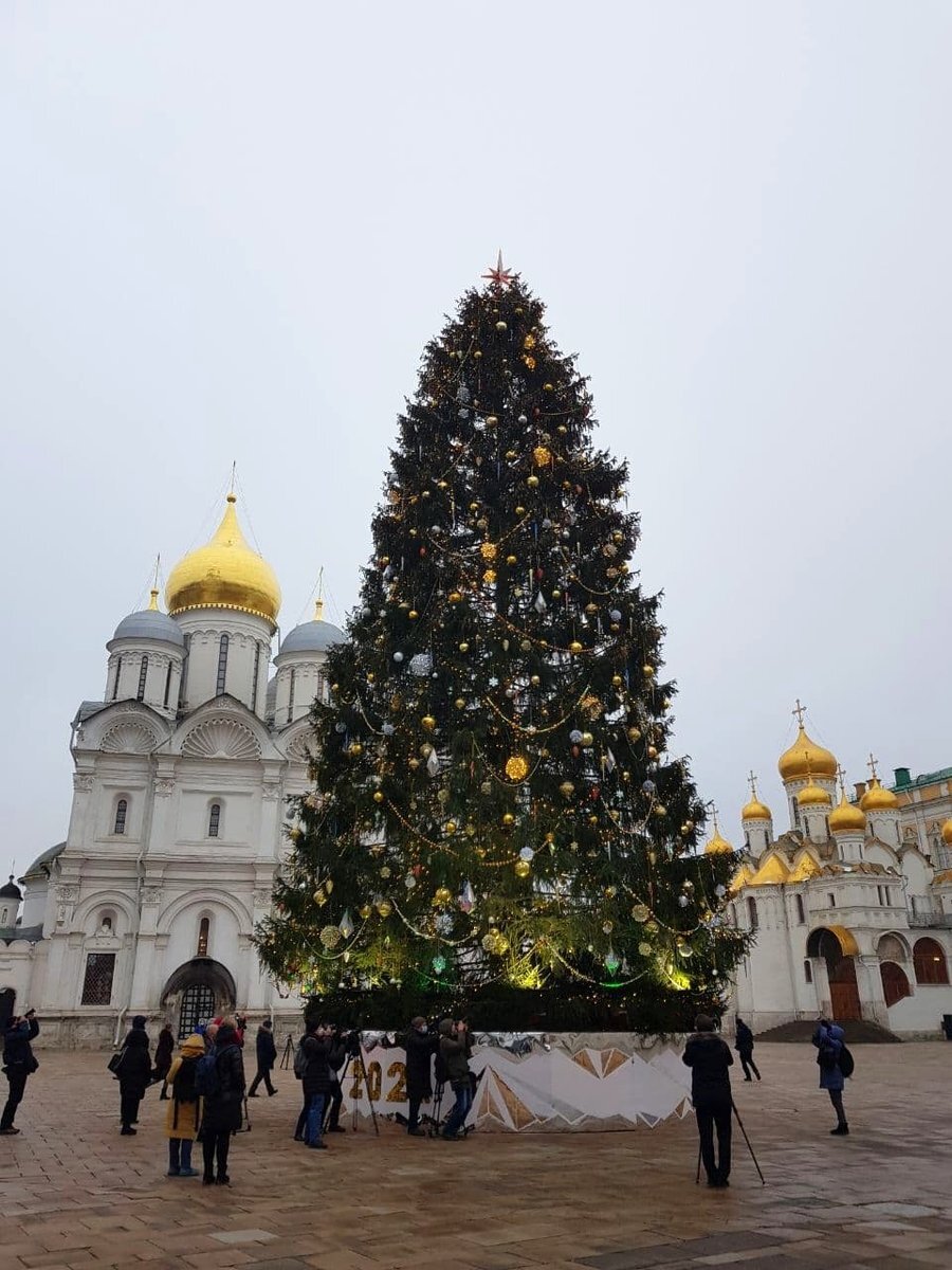 новогодние елки в москве на площадях