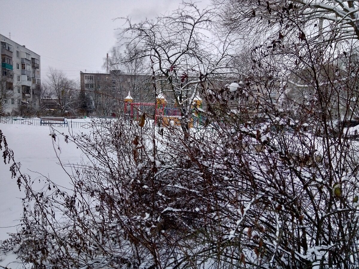 Фото автора. После снегопада...