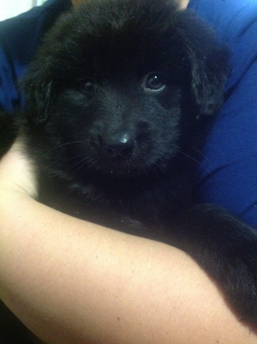 Авторское фото