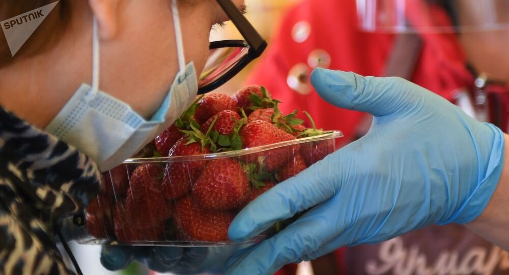 © Sputnik / Григорий Сысоев