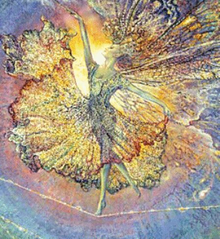 Картинка из интернета