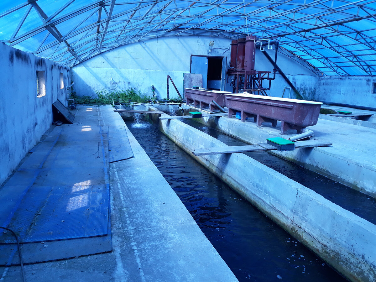 Второе помещение фермы