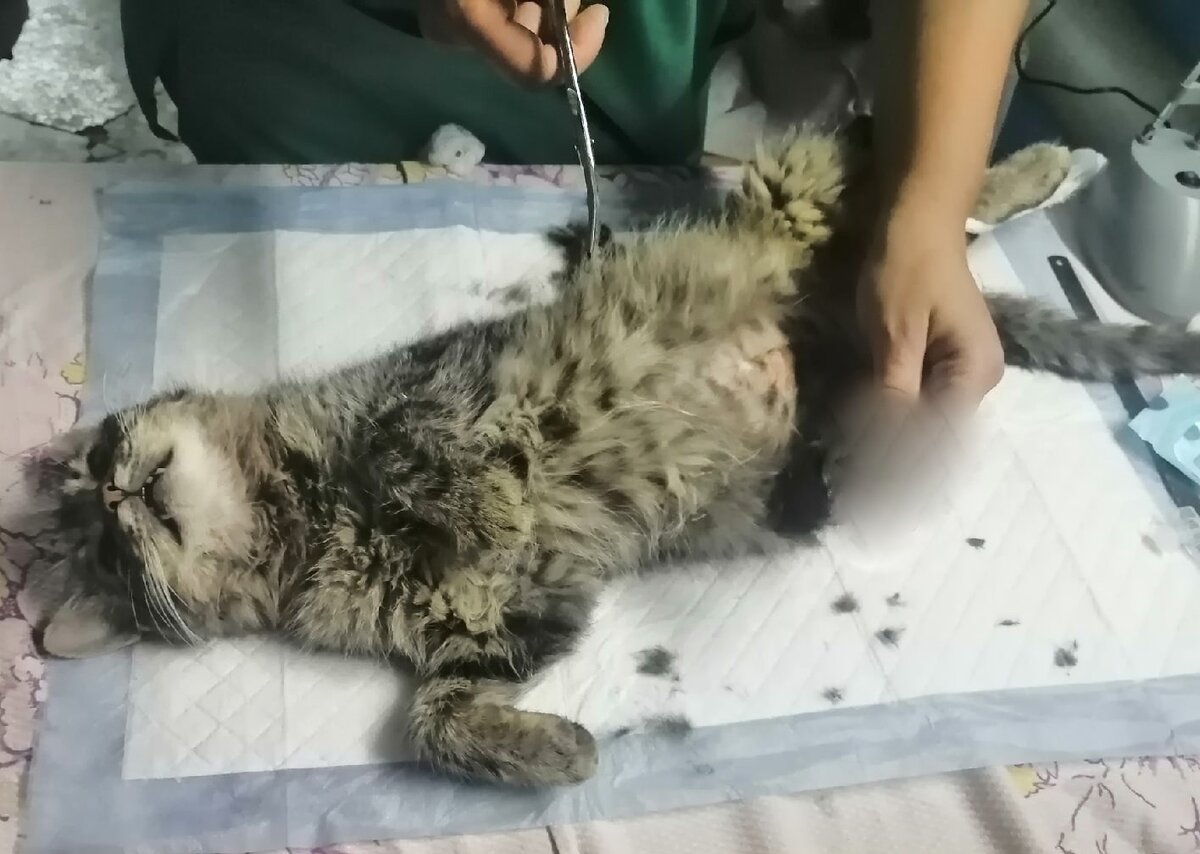 Доктора продумывают план операции 