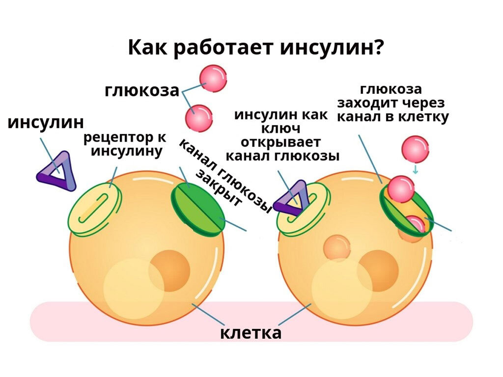 Диабет во время беременности | Буду лучшей мамой с ФЭСТ | Дзен