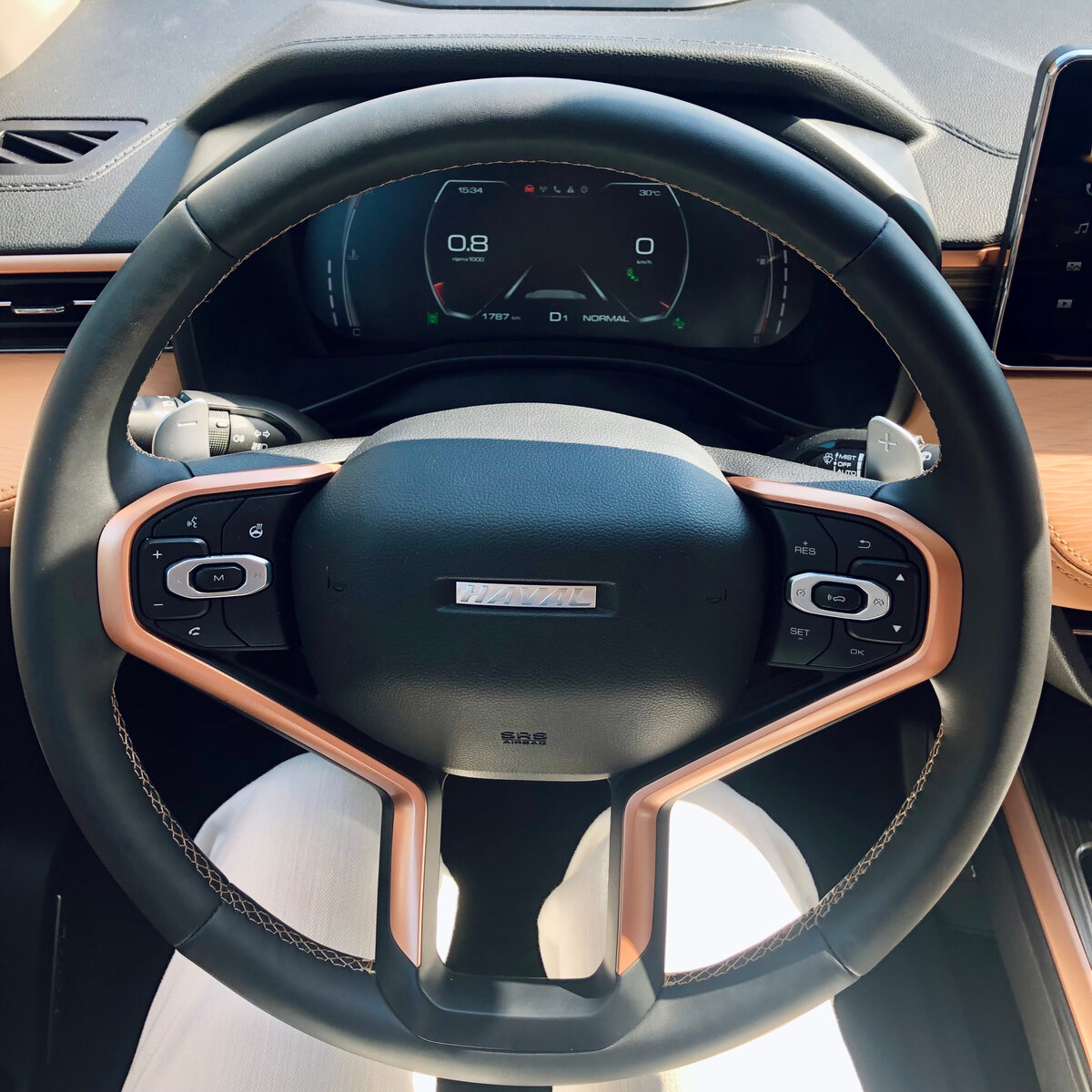 Мультируль в HAVAL JOLION. За ним - лепестки управления скоростью для круиз-контроля. 