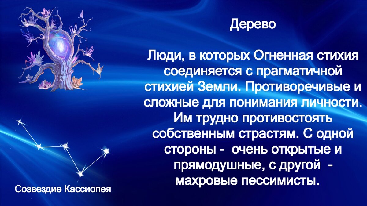 12 промежуточных знаков Зодиака, из-за которых традиционное описание не  совпадает с характером человека | Большая Книга Перемен | Дзен