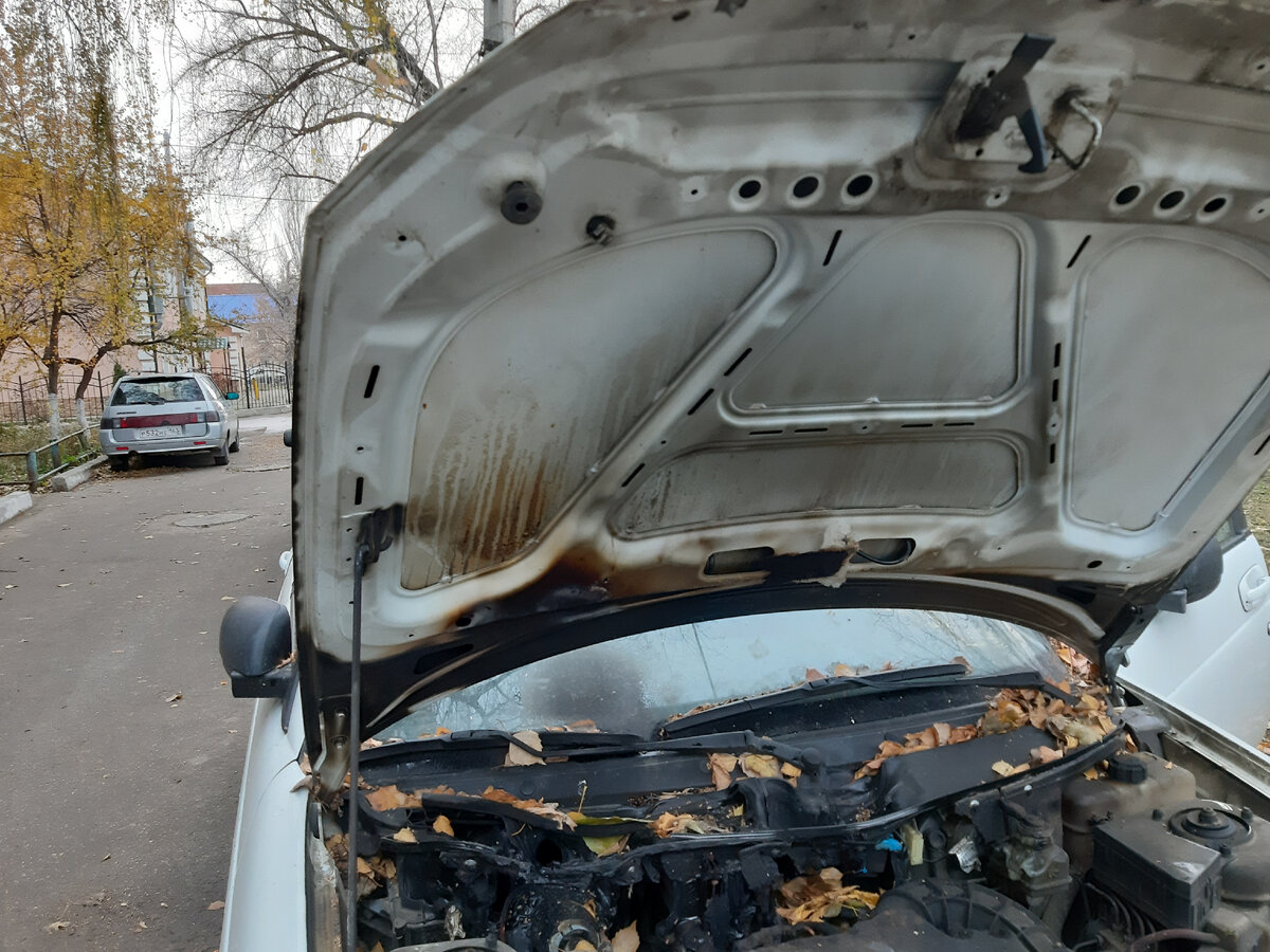 Но если присмотреться...