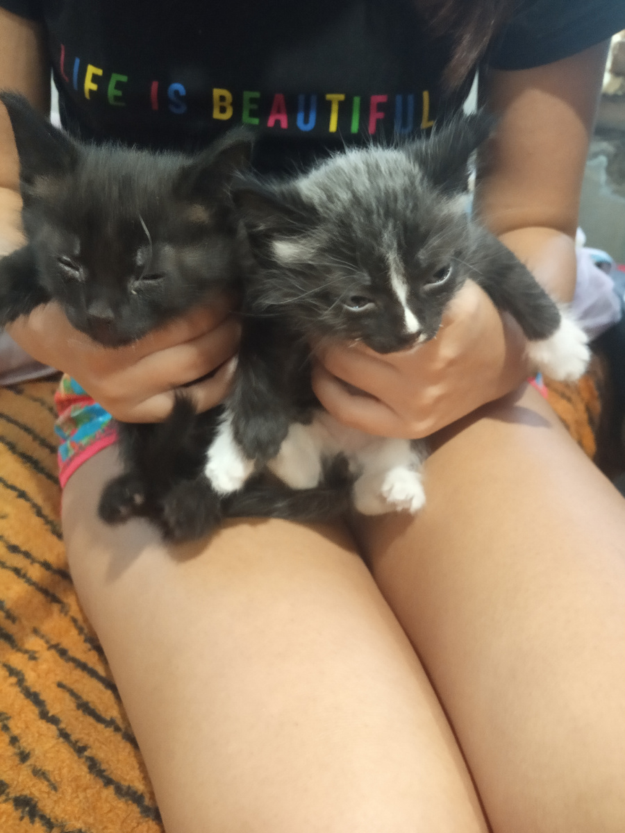 Из личного архива.