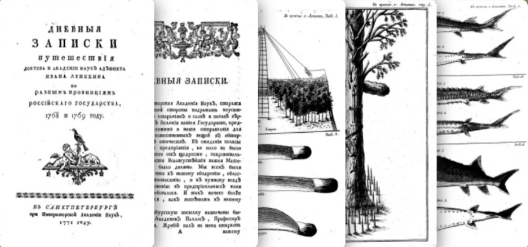 Страницы книги "Дневныя записки путешествия доктора и Академии наук адъюнкта Ивана Лепёхина по разным провинциям Российскаго государства", 1774г.