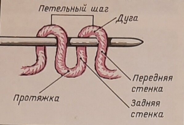 Строение лицевой петли позволяет выполнять её двумя способами: за переднюю стенку (способ 1) и за заднюю(способ 2)