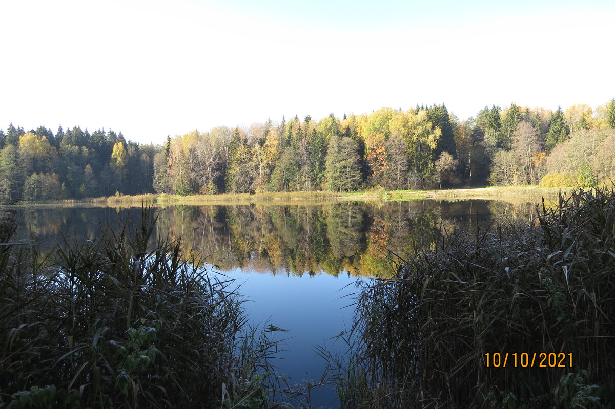 фото Лидии Бам