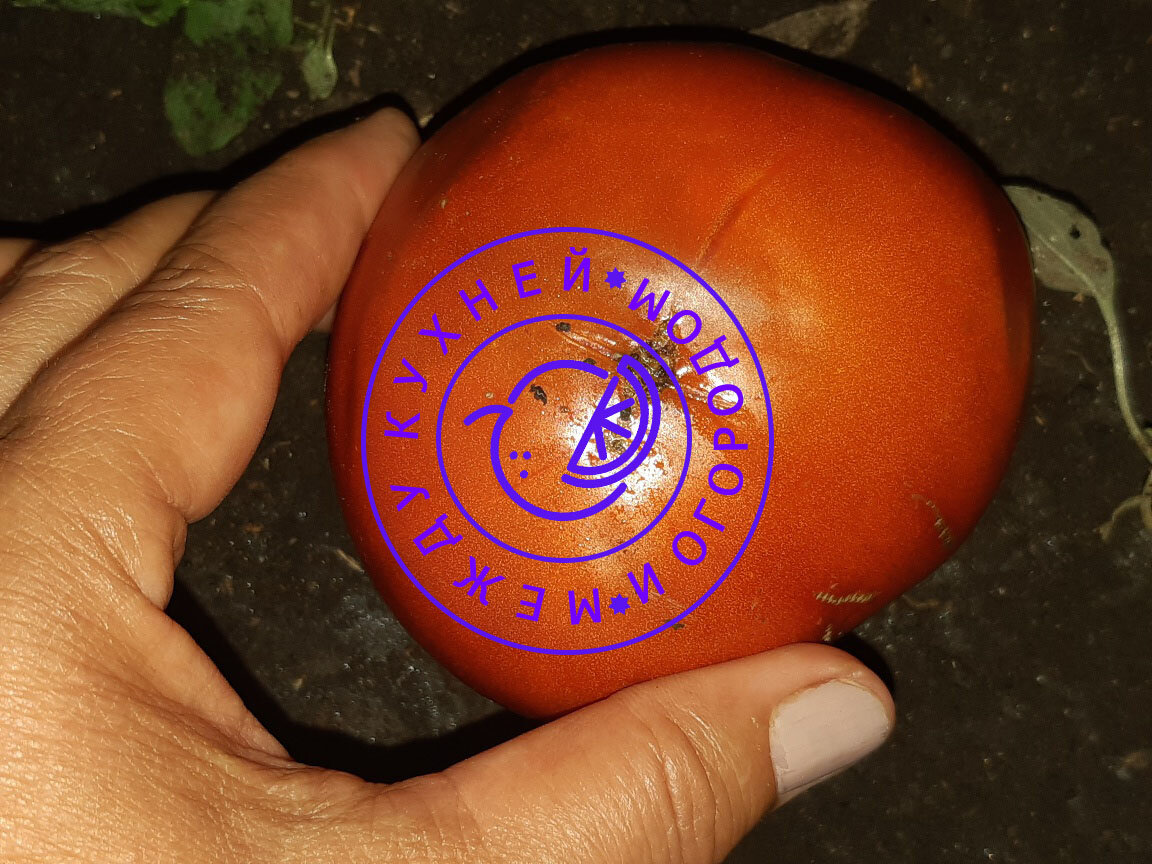 Сажаю ММ в ямку...