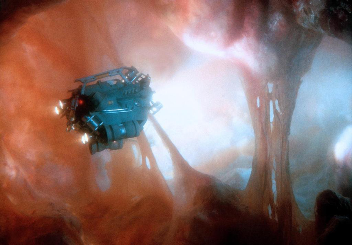 кадр из фильма