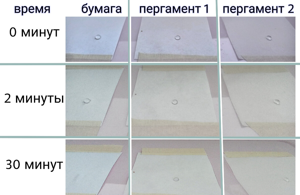 Фотографии капель на бумаге и пергаментах в разные моменты времени. 