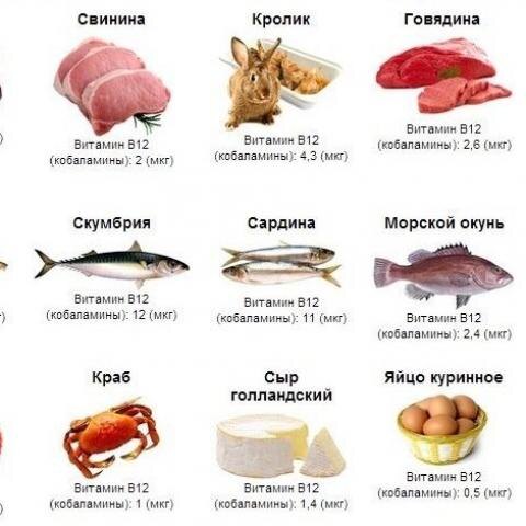 Источники Б12