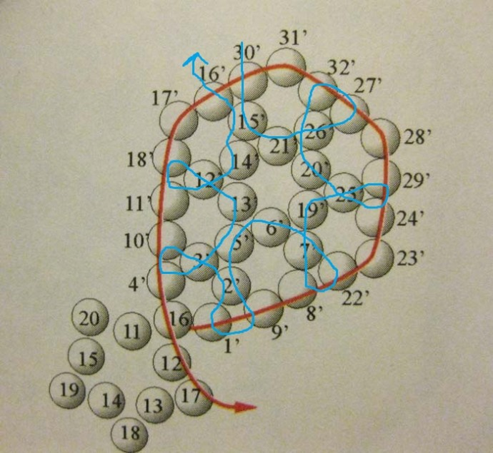 Брошь Корзина цветов из бисера Незабудки. Мастер-класс. Вышивка канителью. блог
