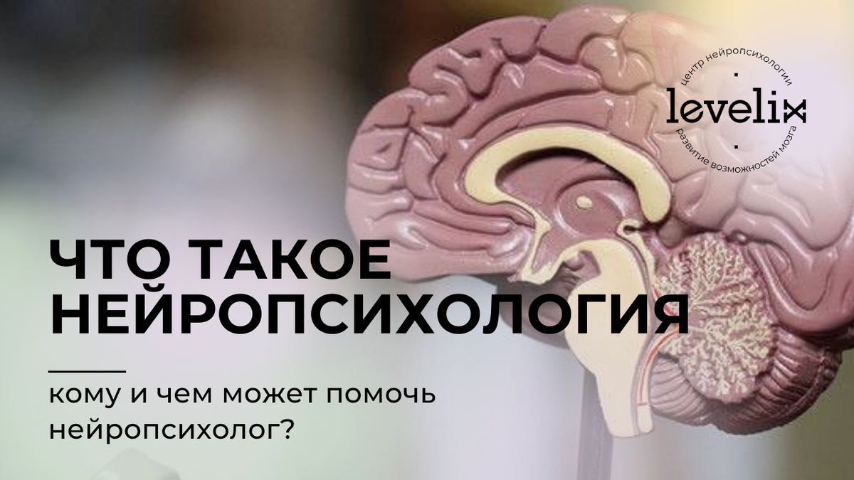 Чем занимается нейропсихолог?