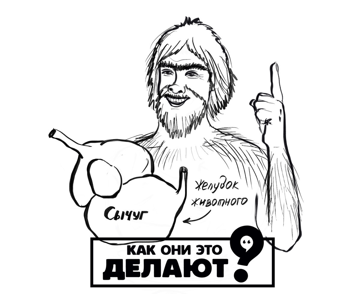 Желудок животного