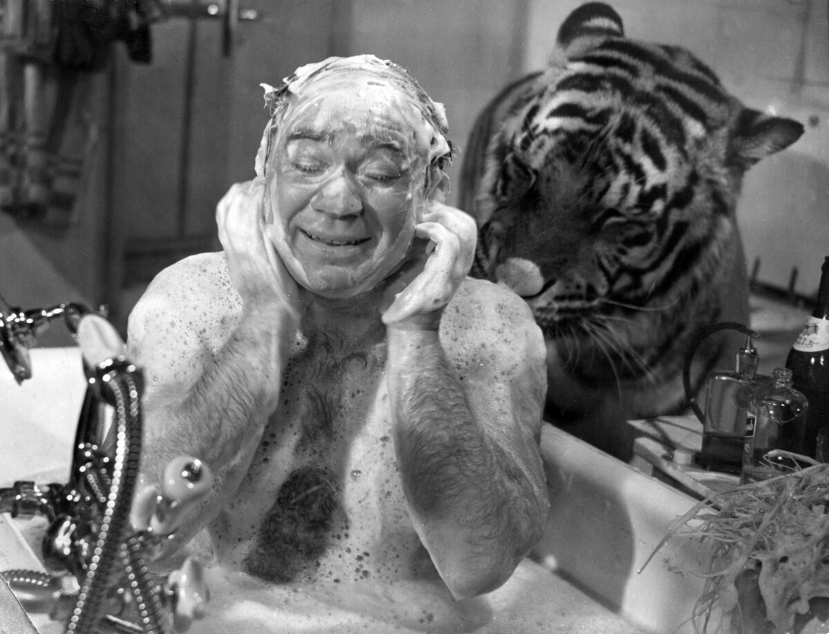 Кадр из фильма «Полосатый рейс»