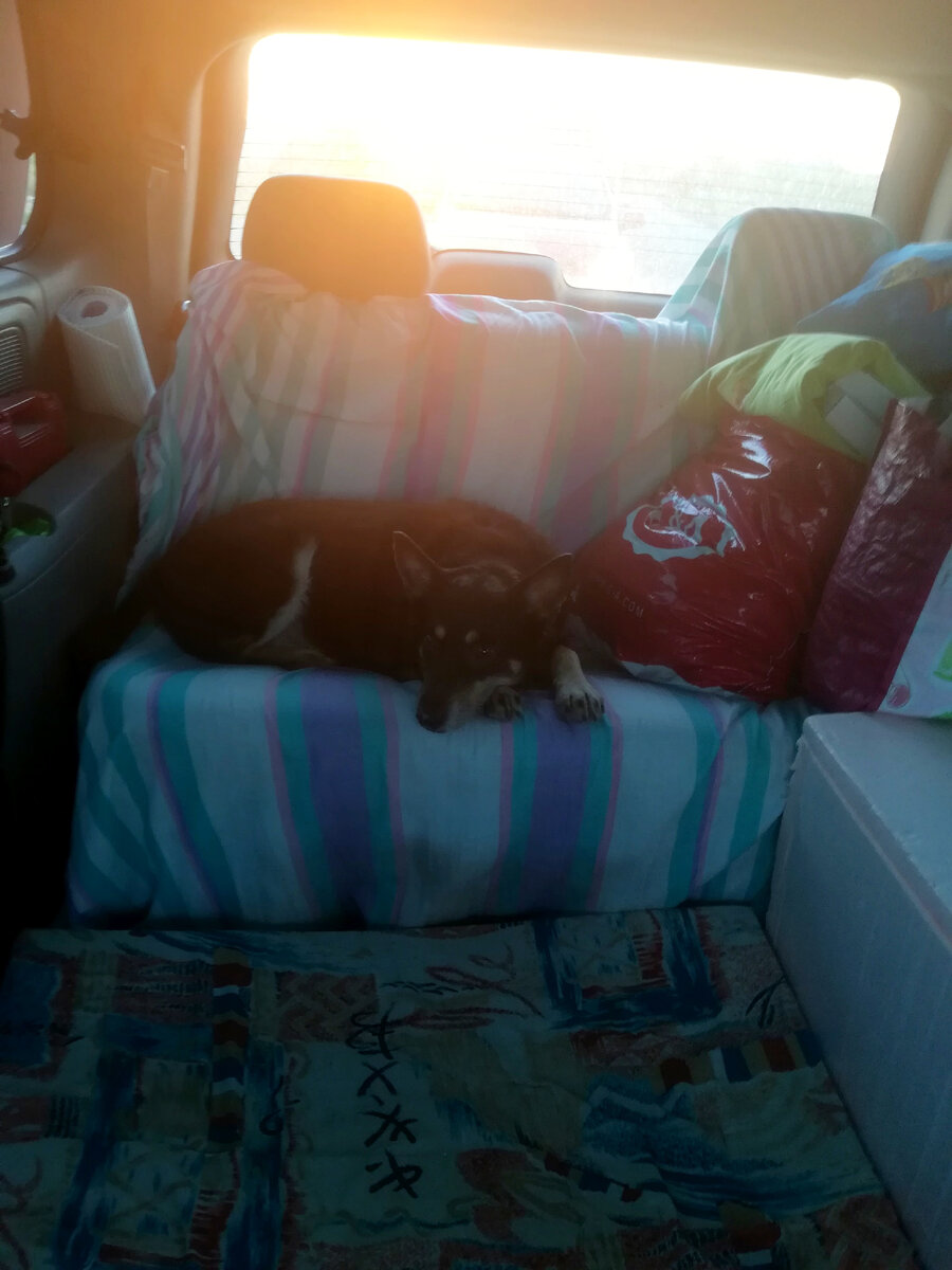 Я вами не разговариваю.