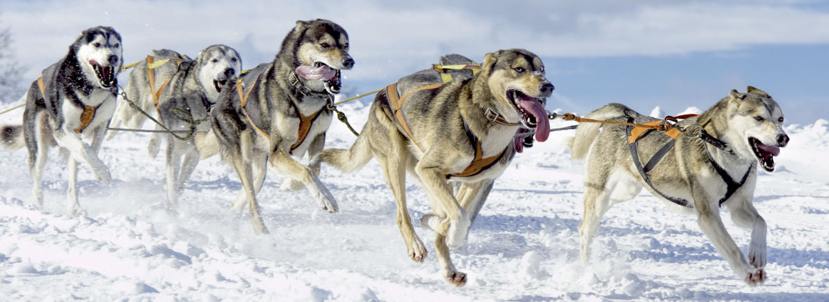Фото iStock