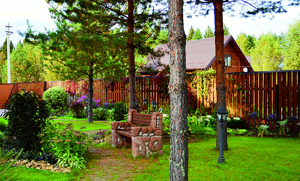 Яндекс-картинки. 